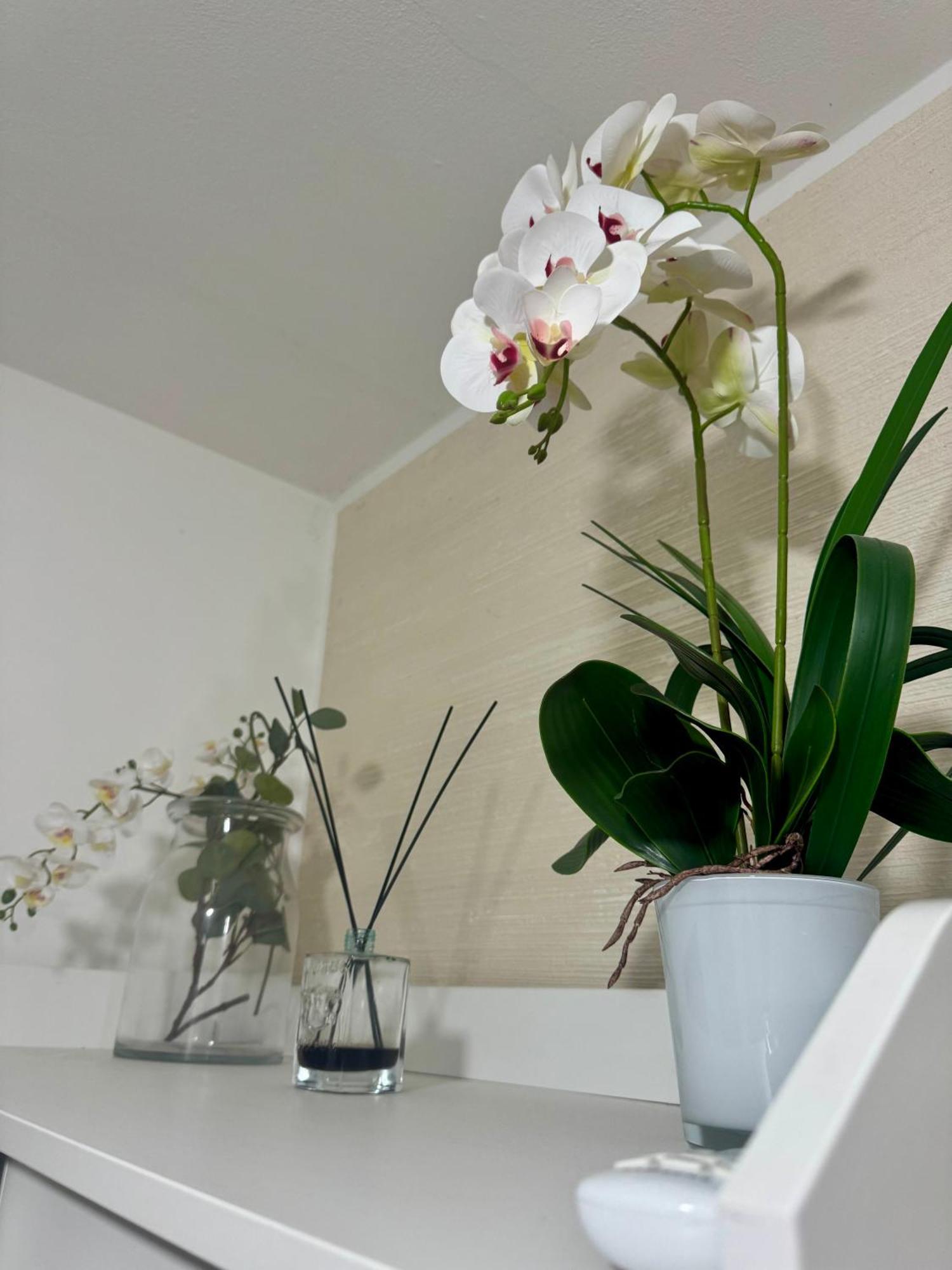 Casa Alessio - Elegante Appartamento Nel Cuore Di Cesano Maderno Esterno foto